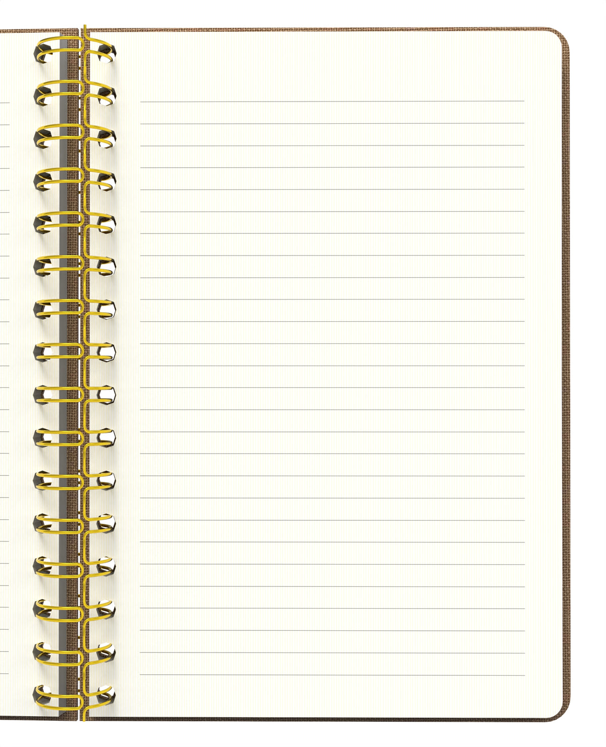 Melimelek Çizgili Defter Bej (Bez Ciltli) - Ceyda Düvenci - görünüm 4 / 5