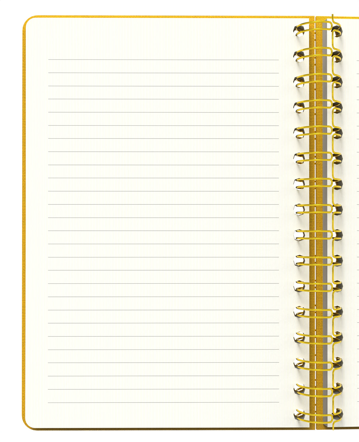 Melimelek Çizgili Defter Hardal (Bez Ciltli) - Ceyda Düvenci - görünüm 3 / 5