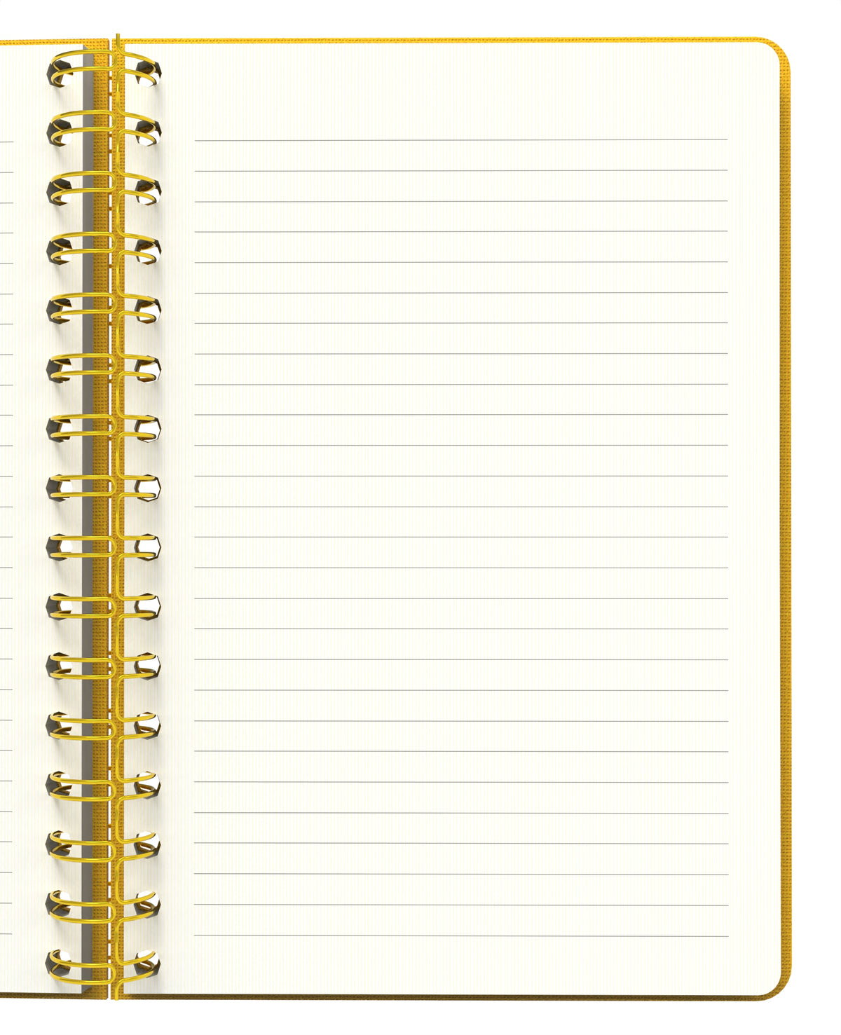 Melimelek Çizgili Defter Hardal (Bez Ciltli) - Ceyda Düvenci - görünüm 4 / 5