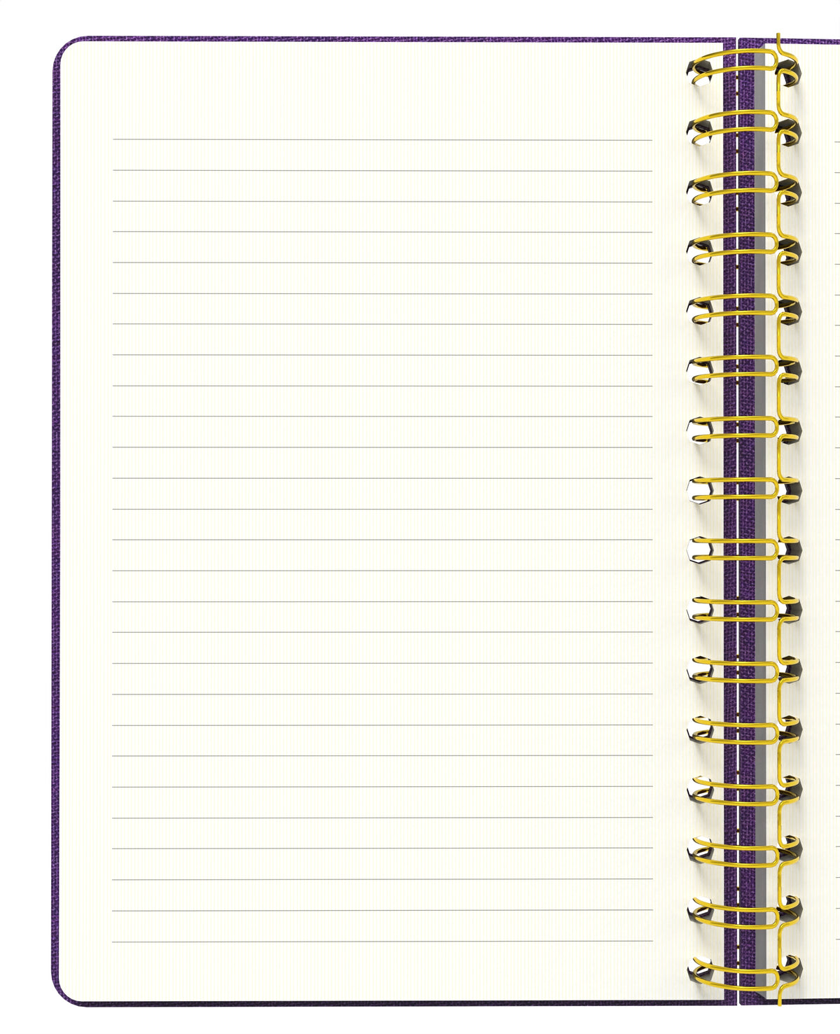 Melimelek Çizgili Defter Mor (Bez Ciltli) - Ceyda Düvenci - görünüm 3 / 5