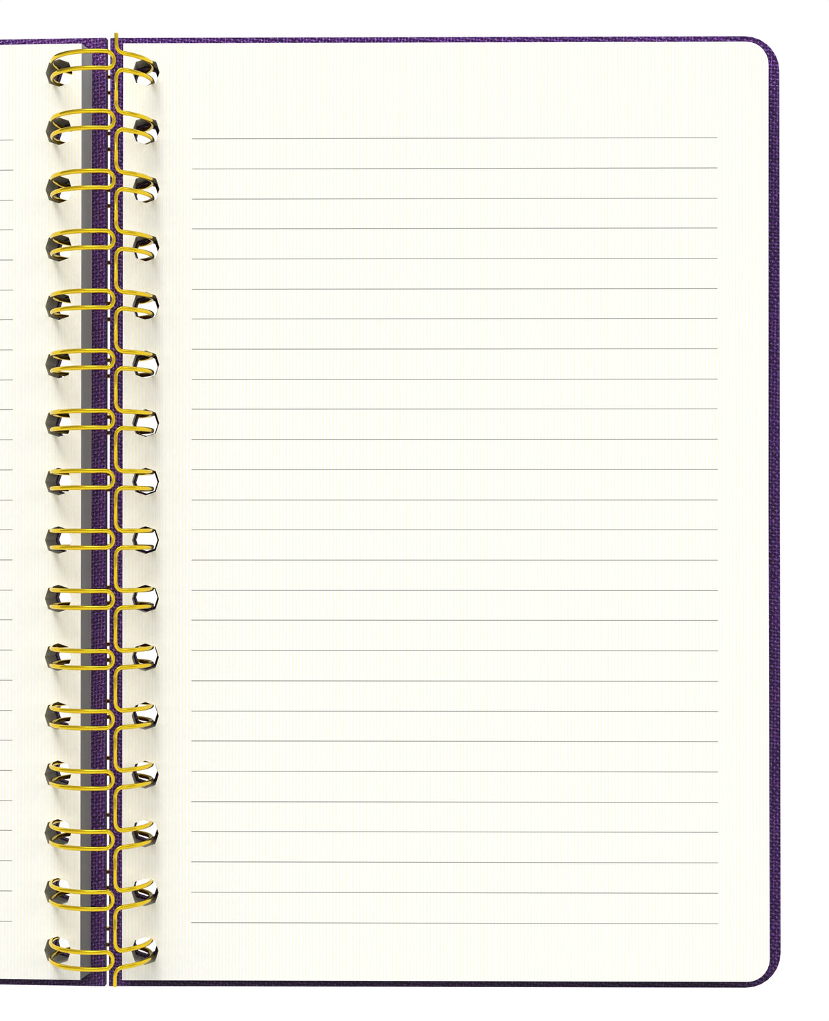 Melimelek Çizgili Defter Mor (Bez Ciltli) - Ceyda Düvenci - görünüm 4 / 5