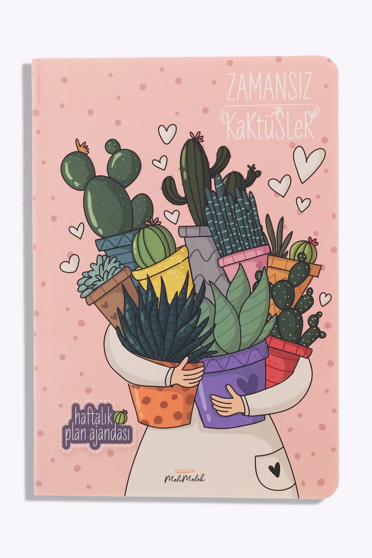 Melimelek Kaktüs Sukulent  Zamansız Ajanda, 15x21.5 cm - görünüm 1 / 5