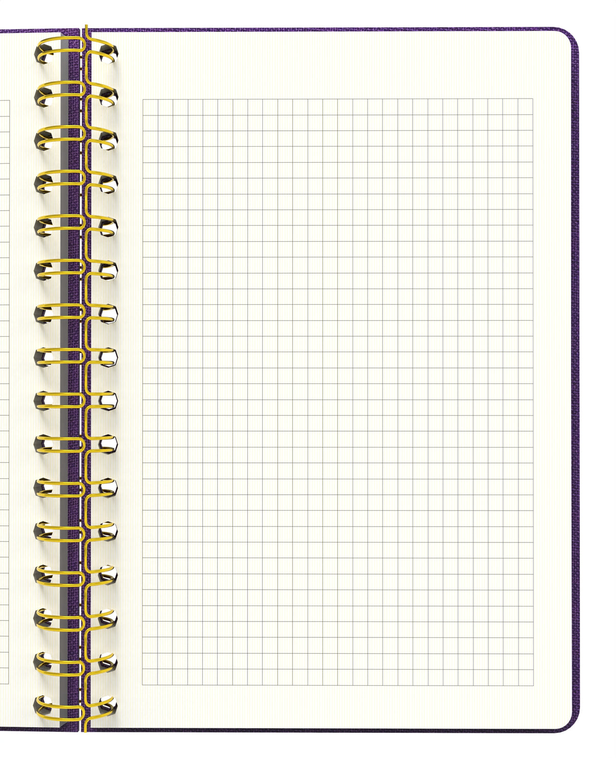 Melimelek Kareli Defter Mor (Bez Ciltli) - Ceyda Düvenci - görünüm 4 / 5