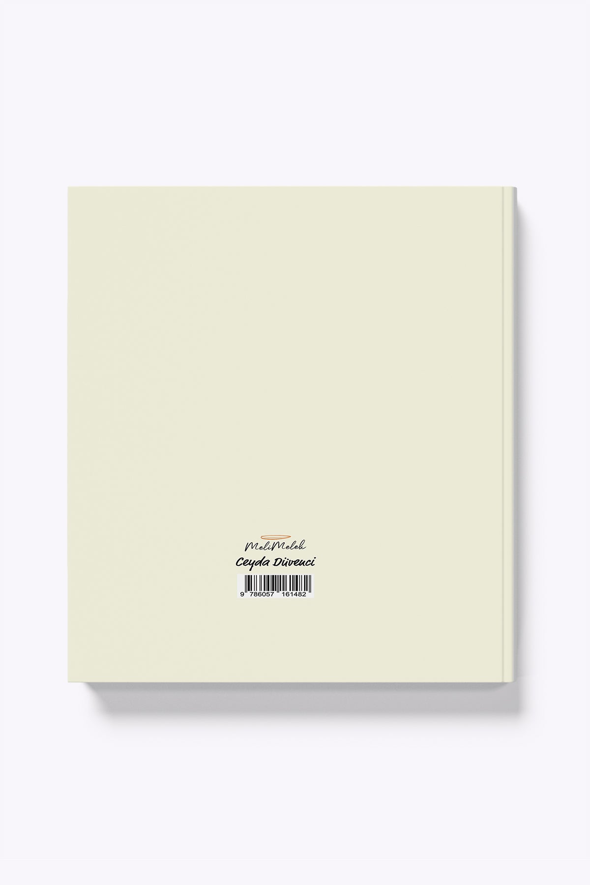 Melimelek Zamansız Ressamlar Ajandası  Zamansız Ajanda, 16.5x19.5 cm (Sticker'lı) - görünüm 7 / 7