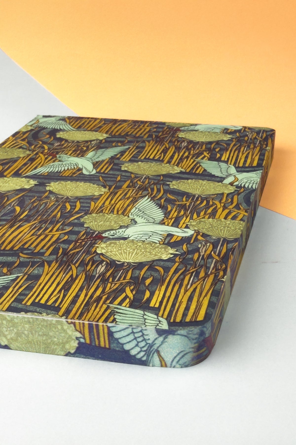 Muus Verneuil's birds 12x16 FSC MIX CREDIT GFA-COC-007196 - görünüm 3 / 5
