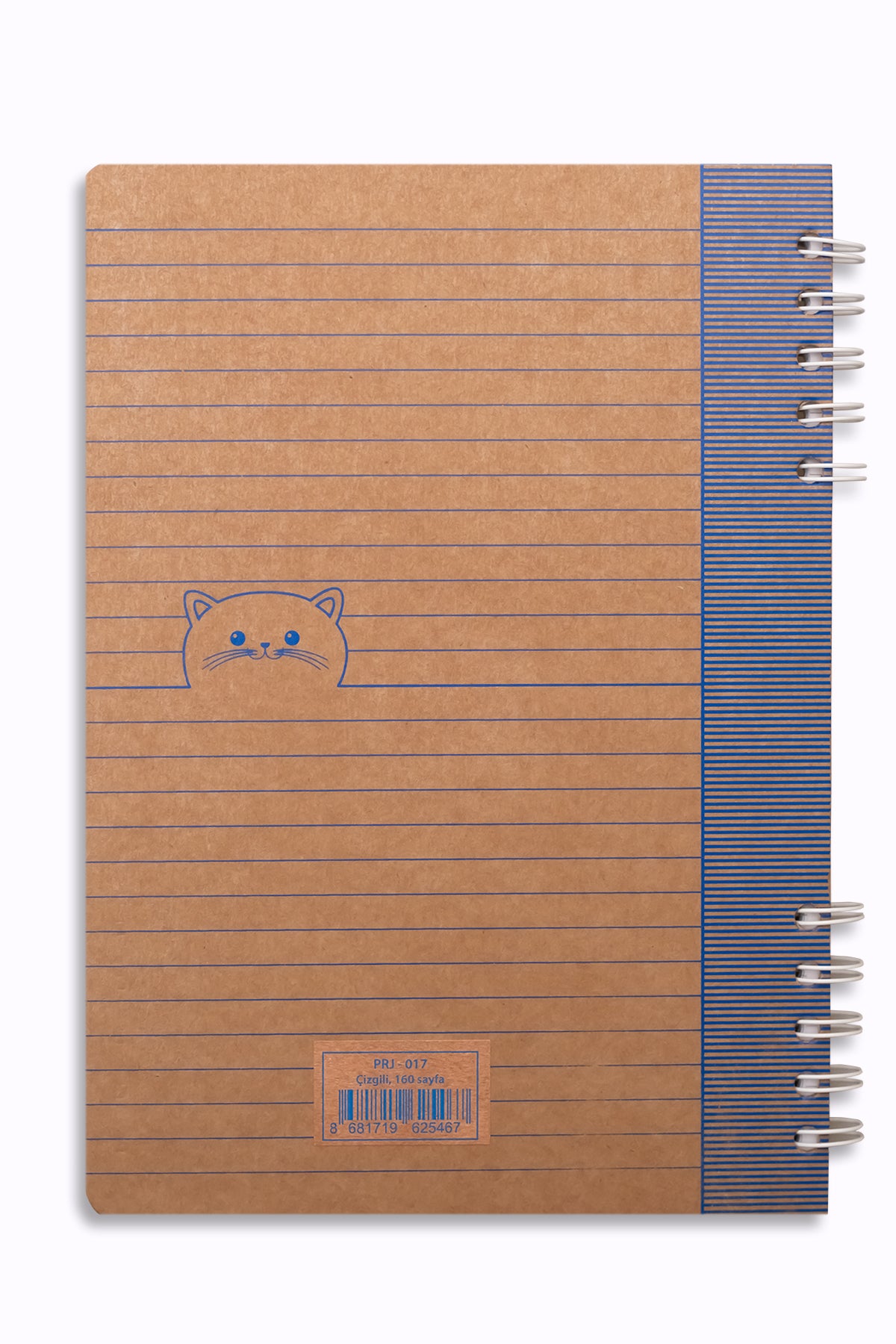 Prestij Kitty Kraft Çizgili Defter 17x24 - görünüm 4 / 4