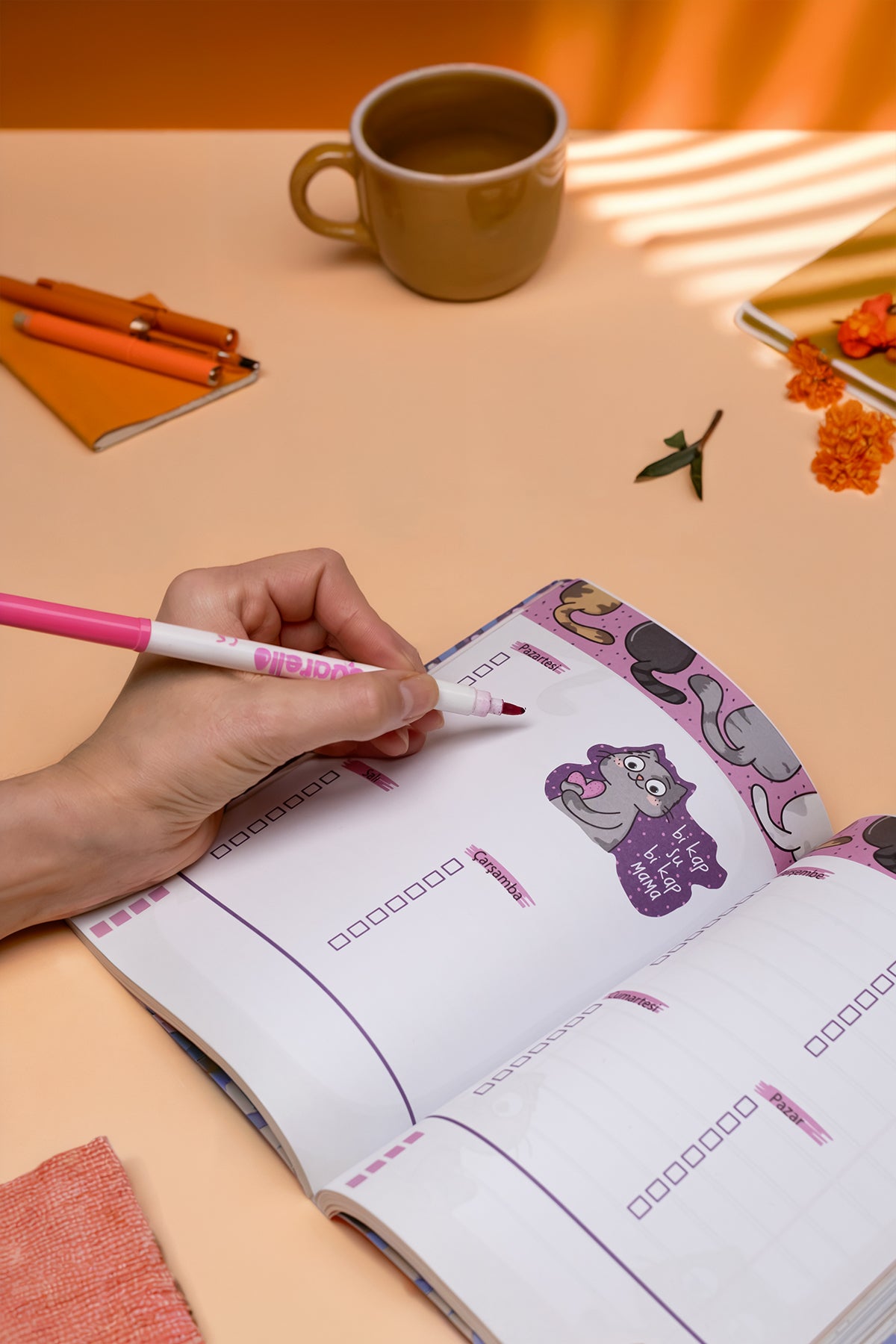 Thinkbook Zamansız Ajanda, Renkli Kedi Koltuk Ajanda - görünüm 3 / 6