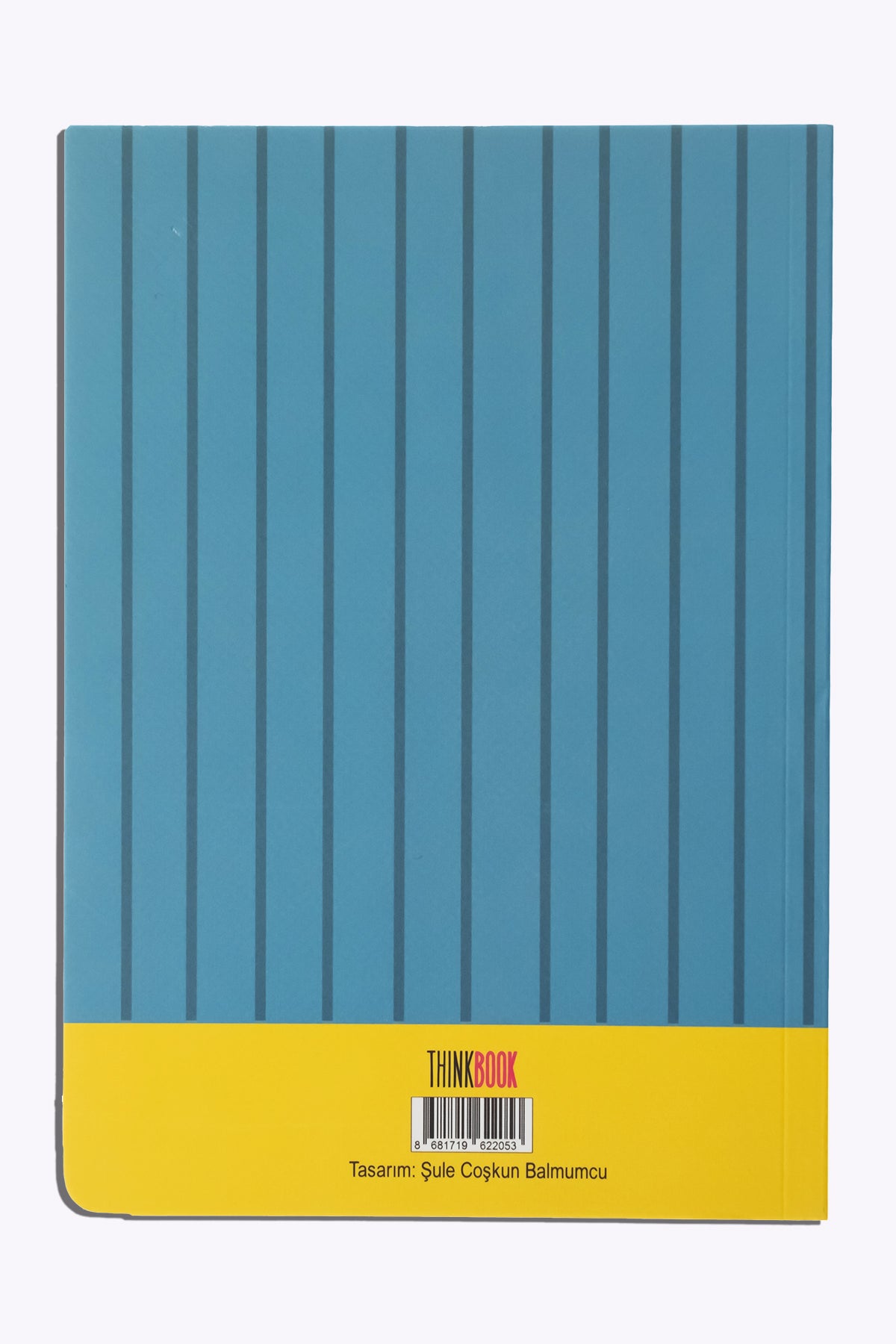 Thinkbook Zamansız Ajanda, Renkli Kedi Koltuk Ajanda - görünüm 4 / 6